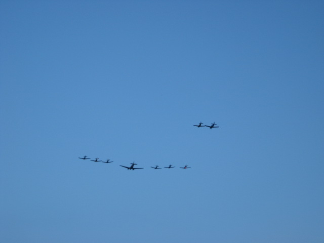 617x456 pixels (31K)